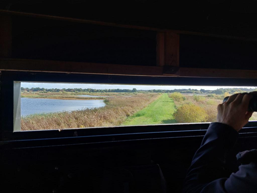 mens_in_bedrijf's tweet photo. Alleen vreemde 🐦 ín de kijkhut. Wel gave plek! Eerst ca 150 meter onder de grond door een tunnel en dan kom je midden tussen de natuur uit zonder dat je verstoort #diependal @drentslandschap https://t.co/g55aiFoFj3