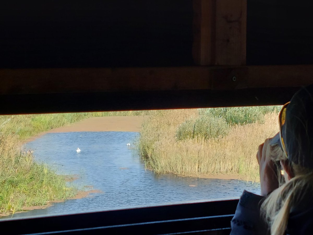 mens_in_bedrijf's tweet photo. Alleen vreemde 🐦 ín de kijkhut. Wel gave plek! Eerst ca 150 meter onder de grond door een tunnel en dan kom je midden tussen de natuur uit zonder dat je verstoort #diependal @drentslandschap https://t.co/g55aiFoFj3