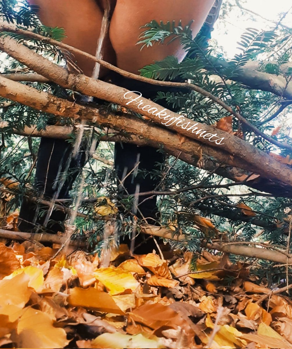 FreakysFilth's tweet photo. An Autumn waterfall 🍂 A beautiful thing. 
Want to see the whole thing? https://t.co/h8vvGEsXXm