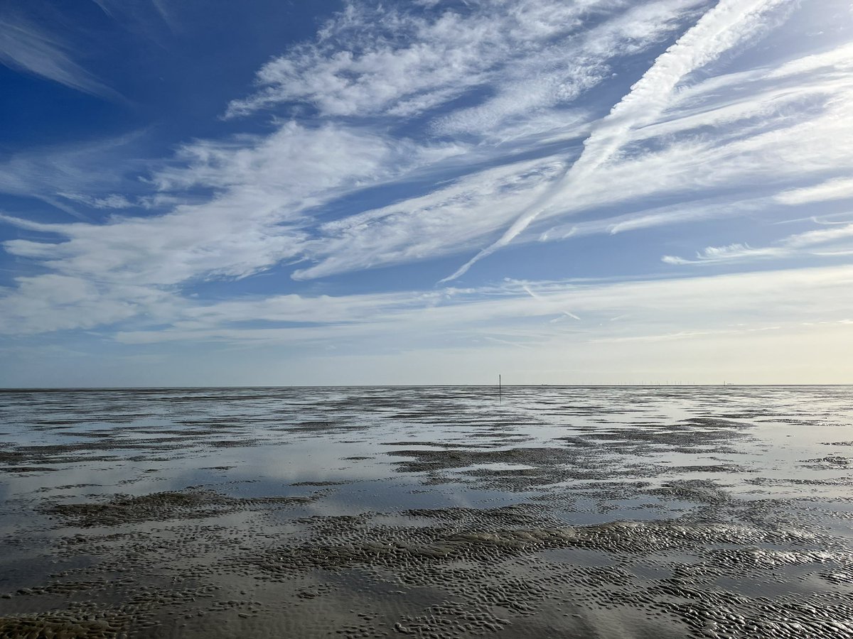 terry_ev's tweet photo. Walking the Broomway https://t.co/VCVRchjULm
