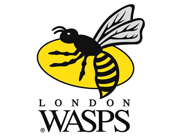 Wasps Outsider tweet media