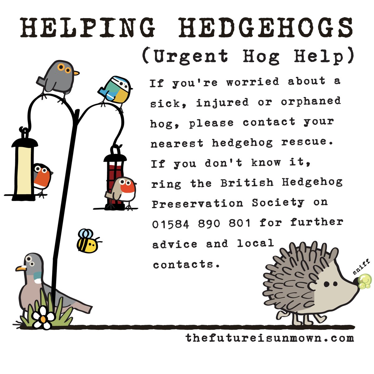 Just a handy reminder 🦔💚 #HelpingHedgehogs #wildlife #wildliifegardens #thefutureisunmown