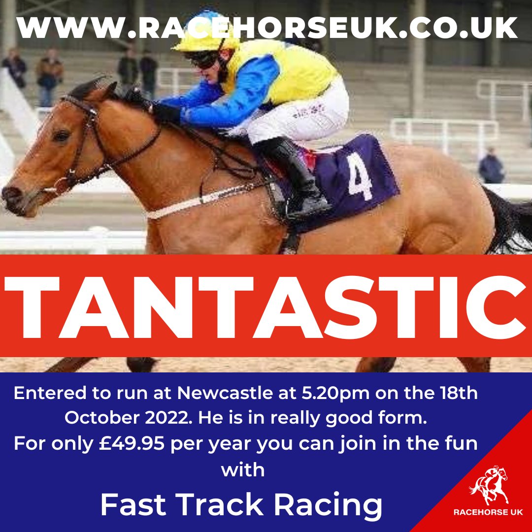 Racehorse_UK's tweet photo. #racehorseuk #newcastle #racingclub #HorseRacing https://t.co/UQowQ9G7xL
