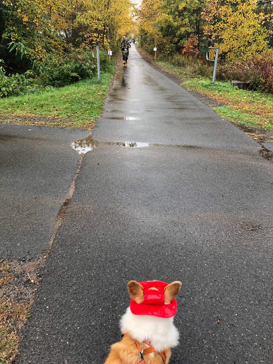 Brent Platt MBA, CFRE, CQ tweet media