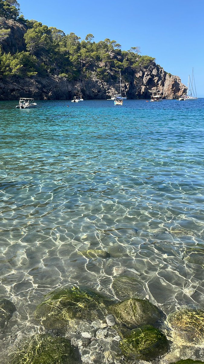 Accesoriospar10's tweet photo. Domingos de octubre. 🫠🫶🏽 Esperamos que también estéis disfrutando del mar. 
.
.
.
#octubre #beach #boats #yachtlife #sealovers #recmar #goldenship #parsun #navegar #relax #mallorca #yachting #náutica #sunday https://t.co/7diDCsuPpK