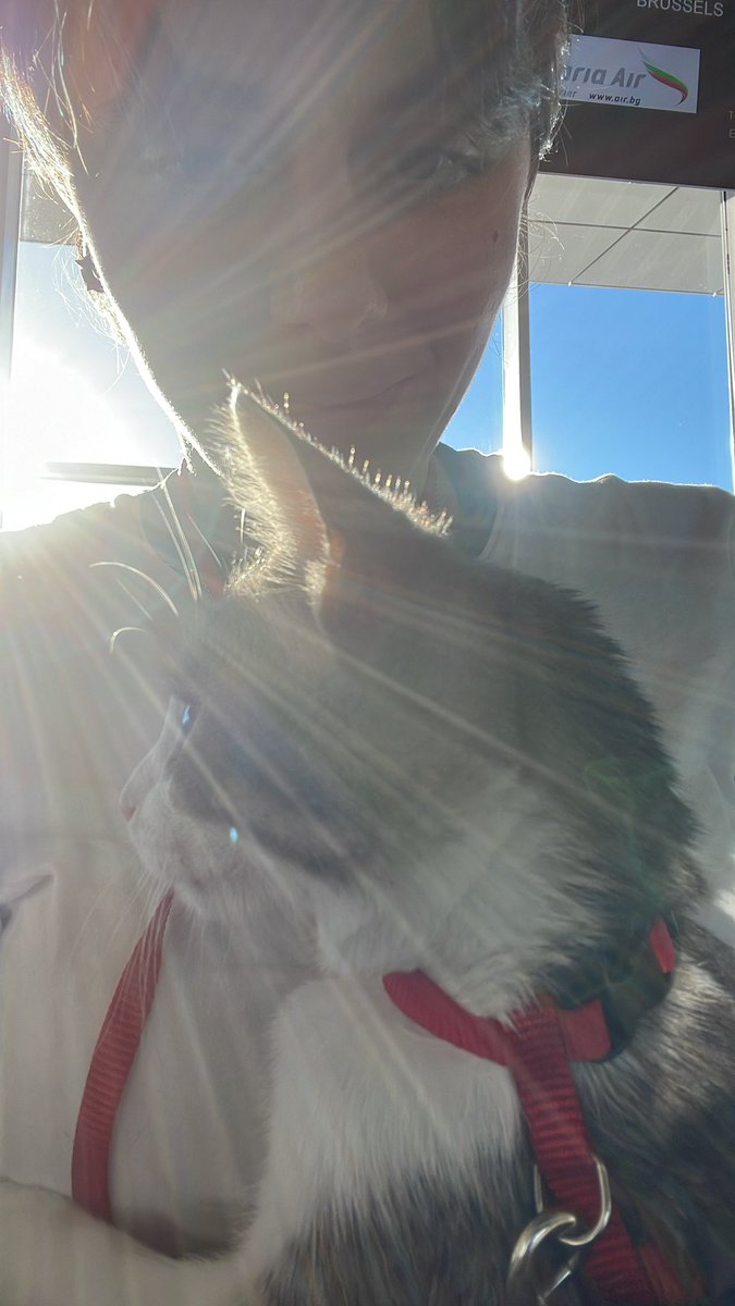 Kate_Lides's tweet photo. For now traveling with this baby is not too bad https://t.co/YYddHxgdwm