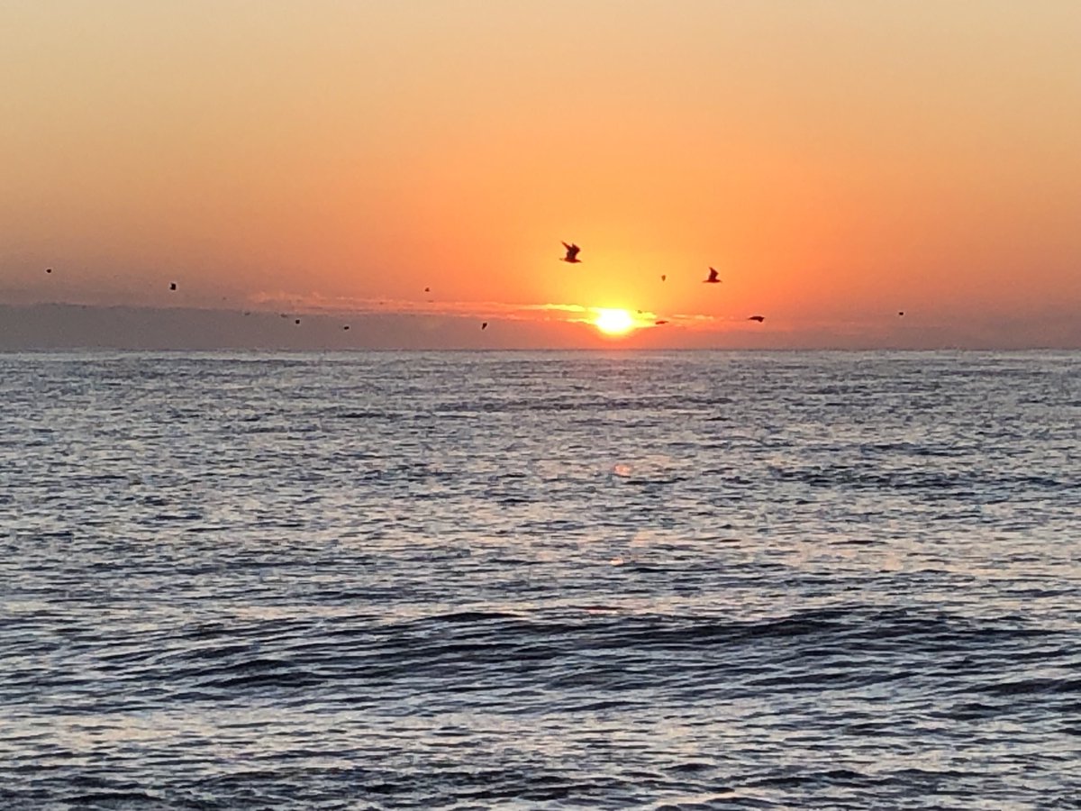trisathompson's tweet photo. Sunrise today in the second most eastern part of the USA #Sconset https://t.co/aRTCa1QE1G