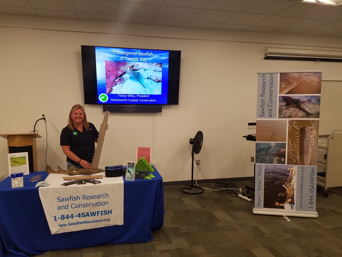 CoastalElasmos's tweet photo. It's #InternationalSawfishDay!!  You can donate to support our public #sawfish outreach and education efforts at https://t.co/BncJDiSubJ. Funds will be used to travel to events and purchase educational materials. https://t.co/JrDihLmQN8