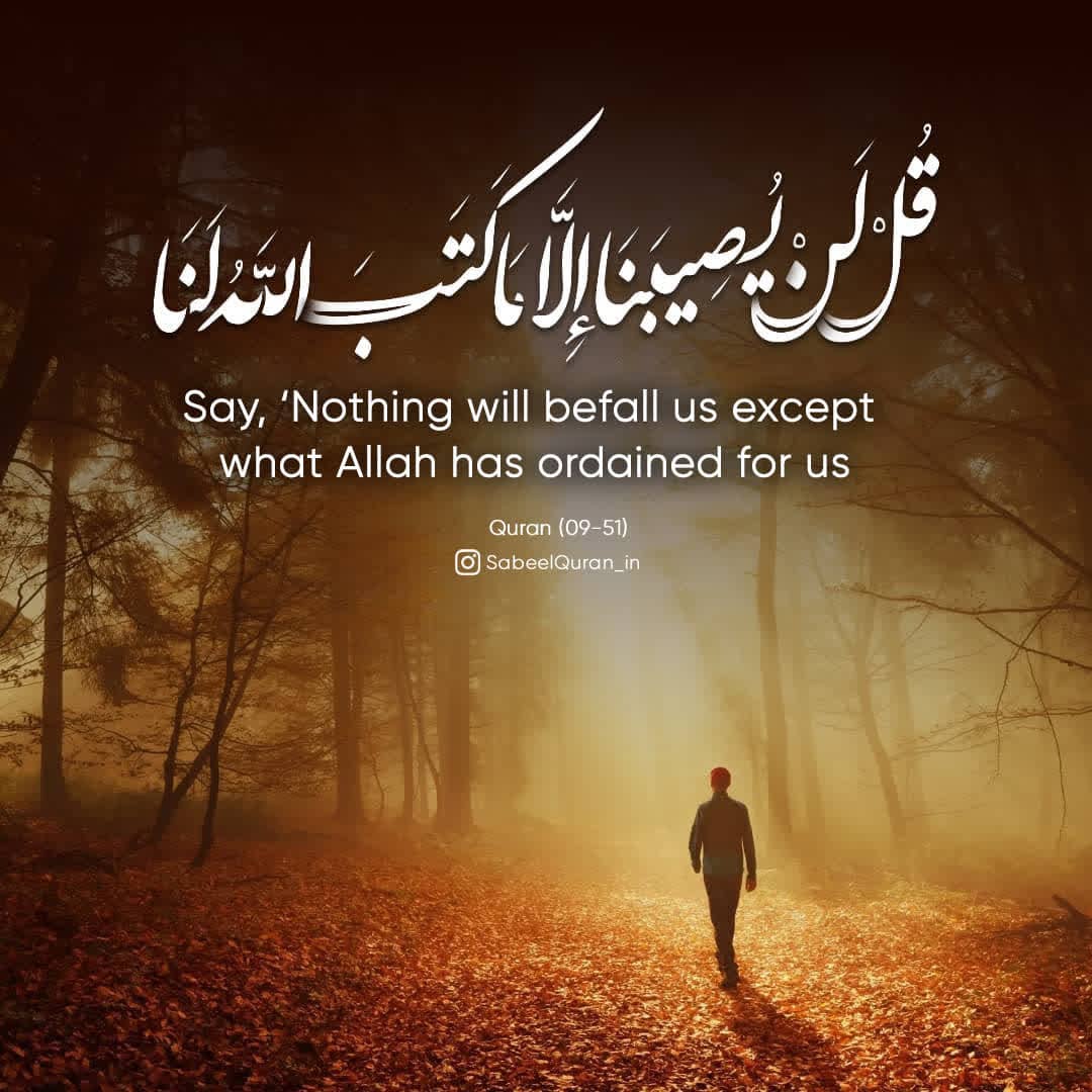 SabeelQuran's tweet photo. #Quran 
#AllahuAkbar 
#prophetforall #prophetforunity
#Islam #Muslim #retweet https://t.co/bF7YdqB2mA