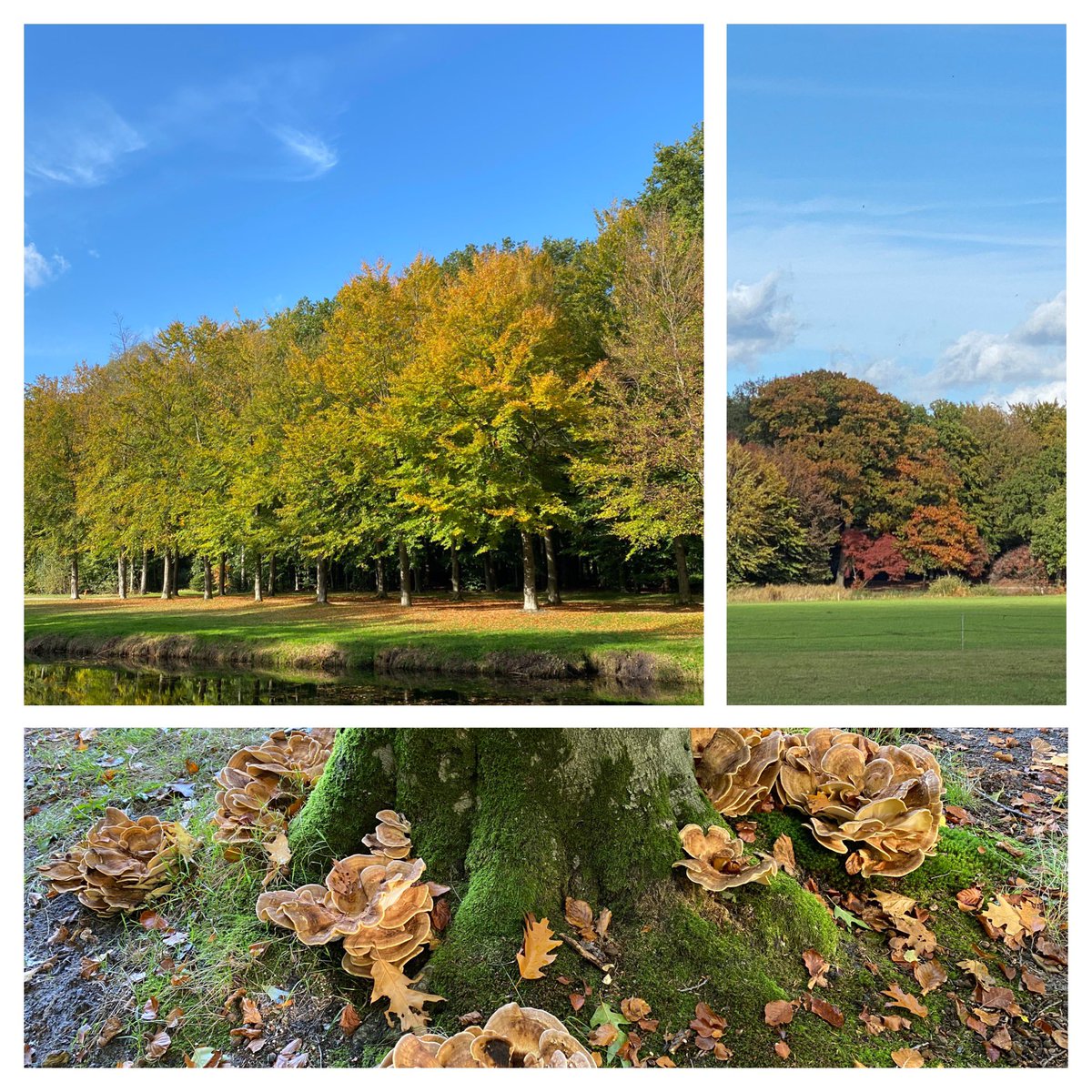 #herfst 🍁