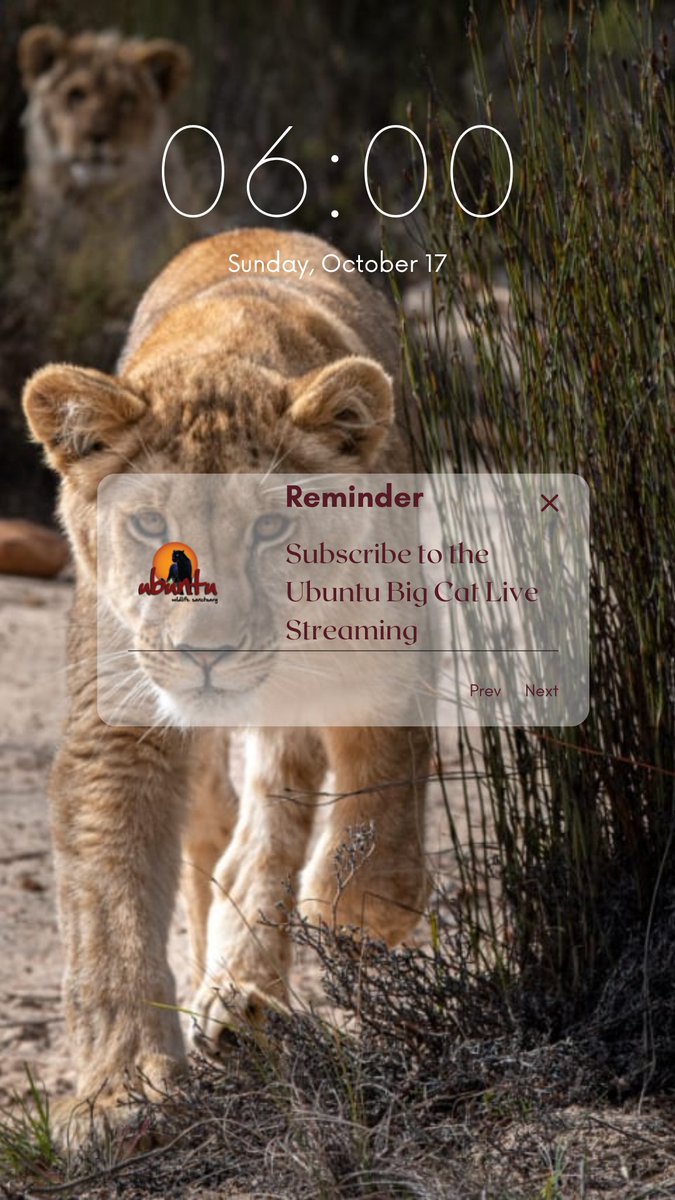 Ubuntu Wildlife Sanctuary tweet media