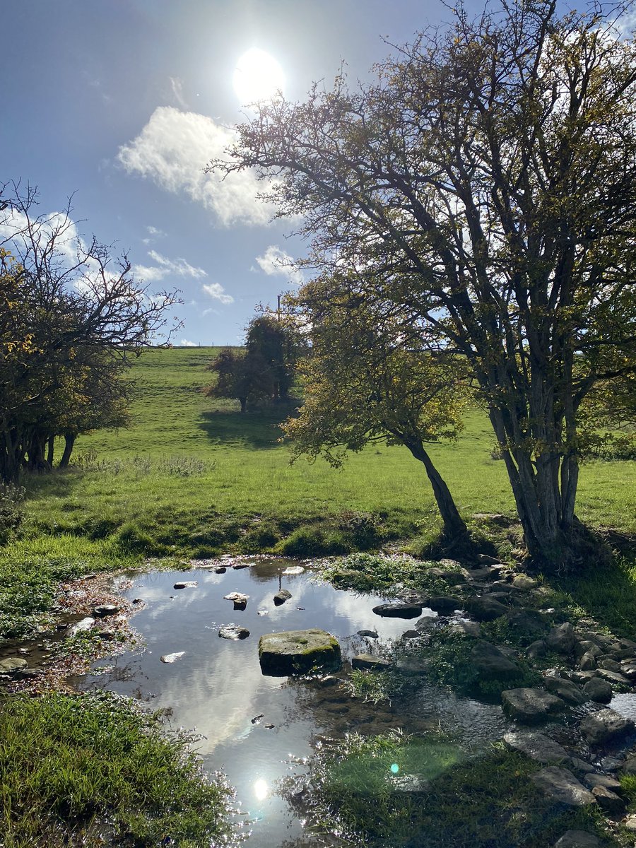 cregennan's tweet photo. Sunny autumn days #Cotswolds #Northleach https://t.co/uGKOWaQC2A