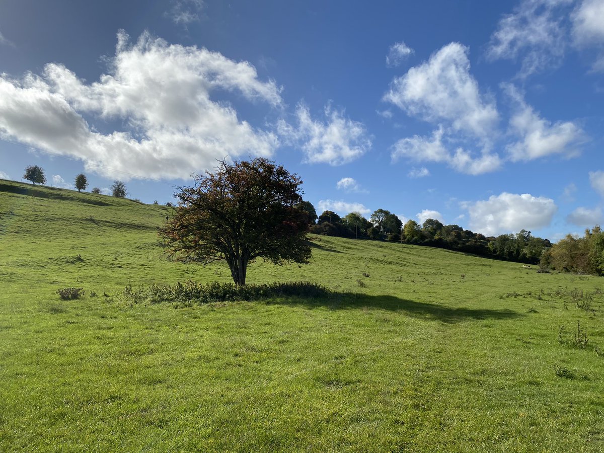 cregennan's tweet photo. Sunny autumn days #Cotswolds #Northleach https://t.co/uGKOWaQC2A