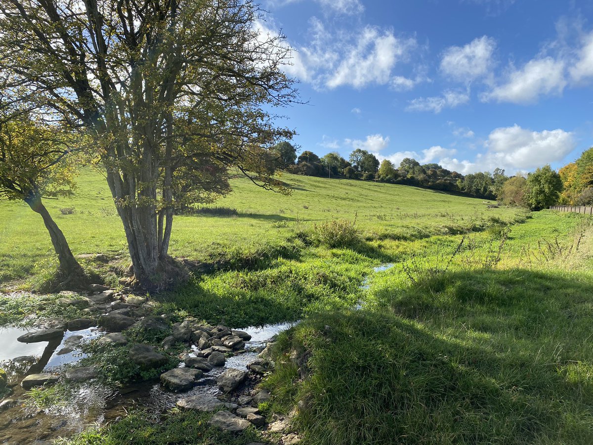 cregennan's tweet photo. Sunny autumn days #Cotswolds #Northleach https://t.co/uGKOWaQC2A