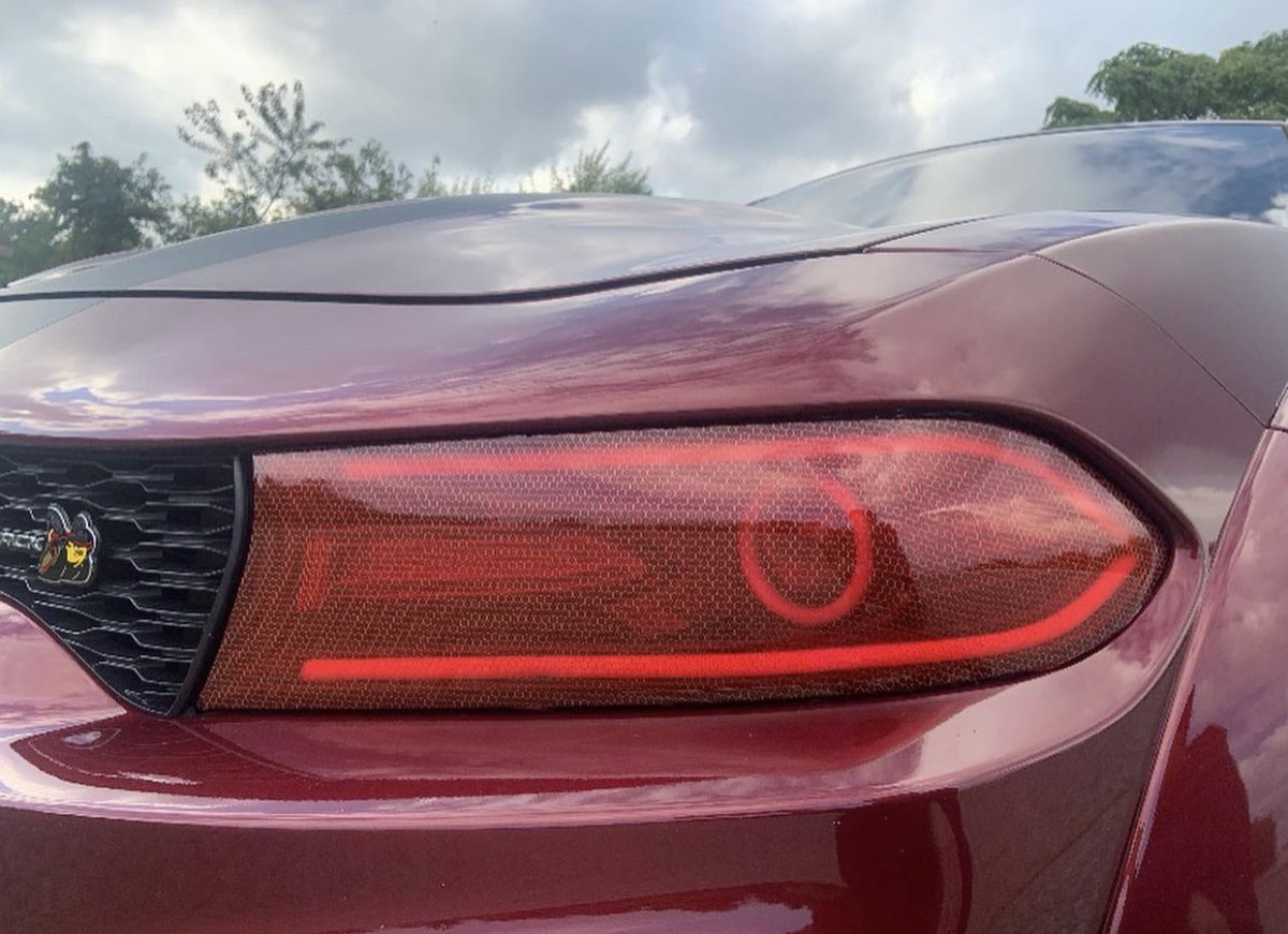 MetaVinylCustoms tweet media