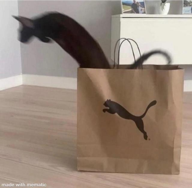 ordure (@ordurebizarree) on Twitter photo 