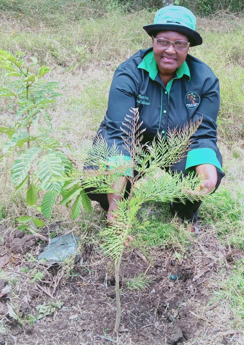 AfricaGreens's tweet photo. Don't just plant. Nurture it. That's the secret of growing trees
#ClimateAction
#restoretheplanet https://t.co/GSIezjiHxA