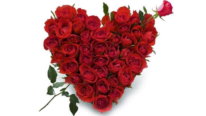 rouge_luc's tweet photo. @Marlne70482432 https://t.co/ZGCrOkXsWl