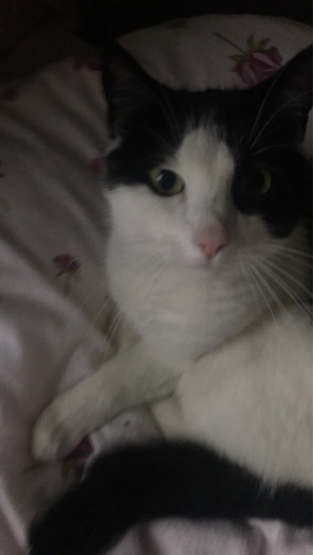 adoringgnf tweet picture