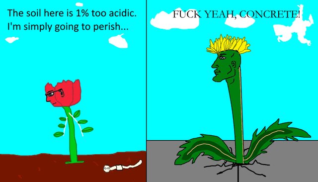 [Image: FfMmJotacAAb2P2?format=jpg&name=small]