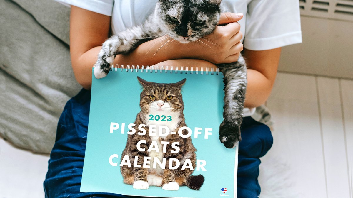 raccoons_tweet's tweet photo. It’s #GlobalCatDay so defend cats’ rights to be vindictive with a “Pissed-Off Cats” Calendar. Celebrate their beauty &amp; propensity for hairballs every month of the year.
https://t.co/pVCQm4qGwt https://t.co/XTKvt8dYHZ