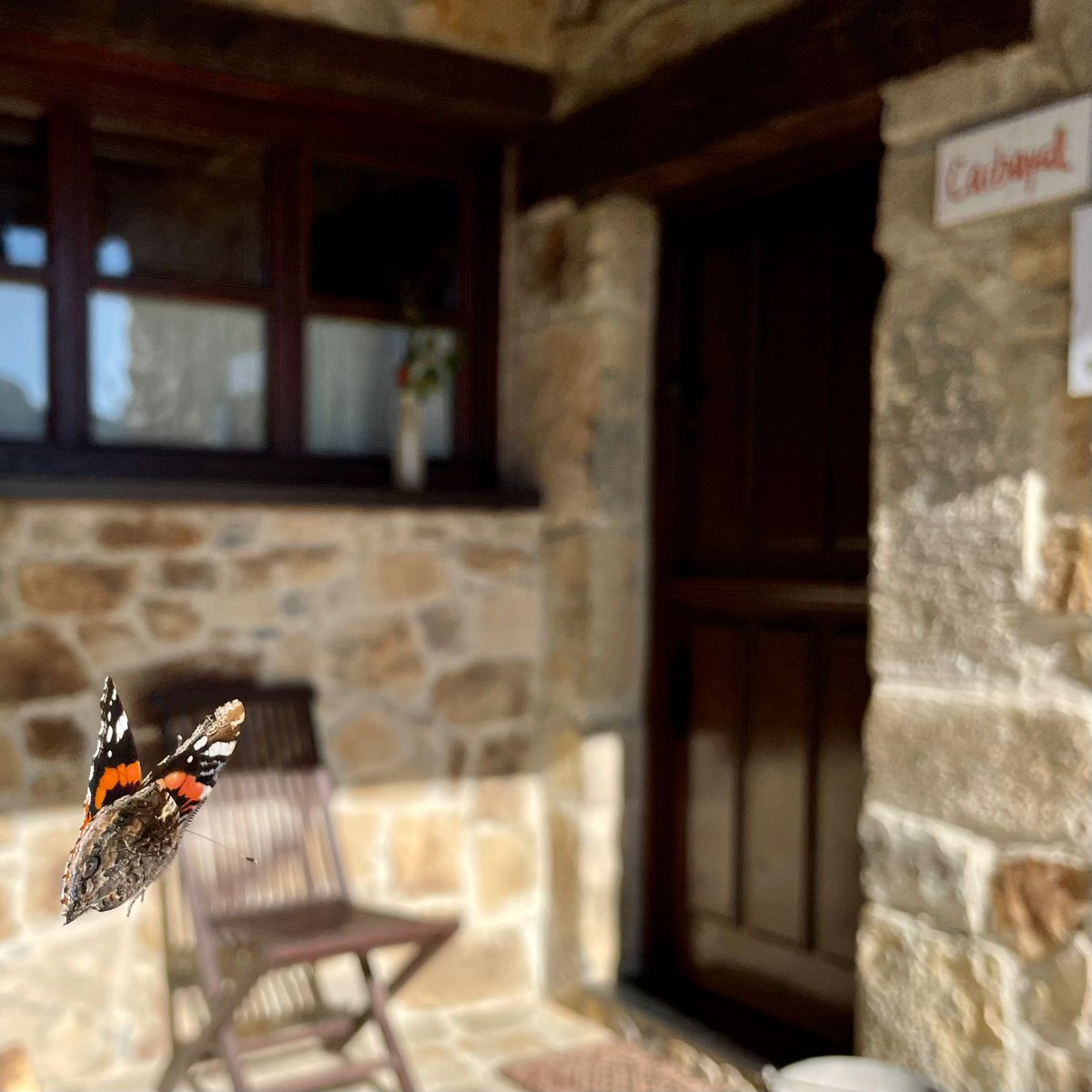 LaXamoca's tweet photo. Esas pequeñas cosas …
#laxamocateespera #rinconesdelaxamoca #parquenaturalderedes #turismoasturias #soyecoturista https://t.co/YiT7hvGZee