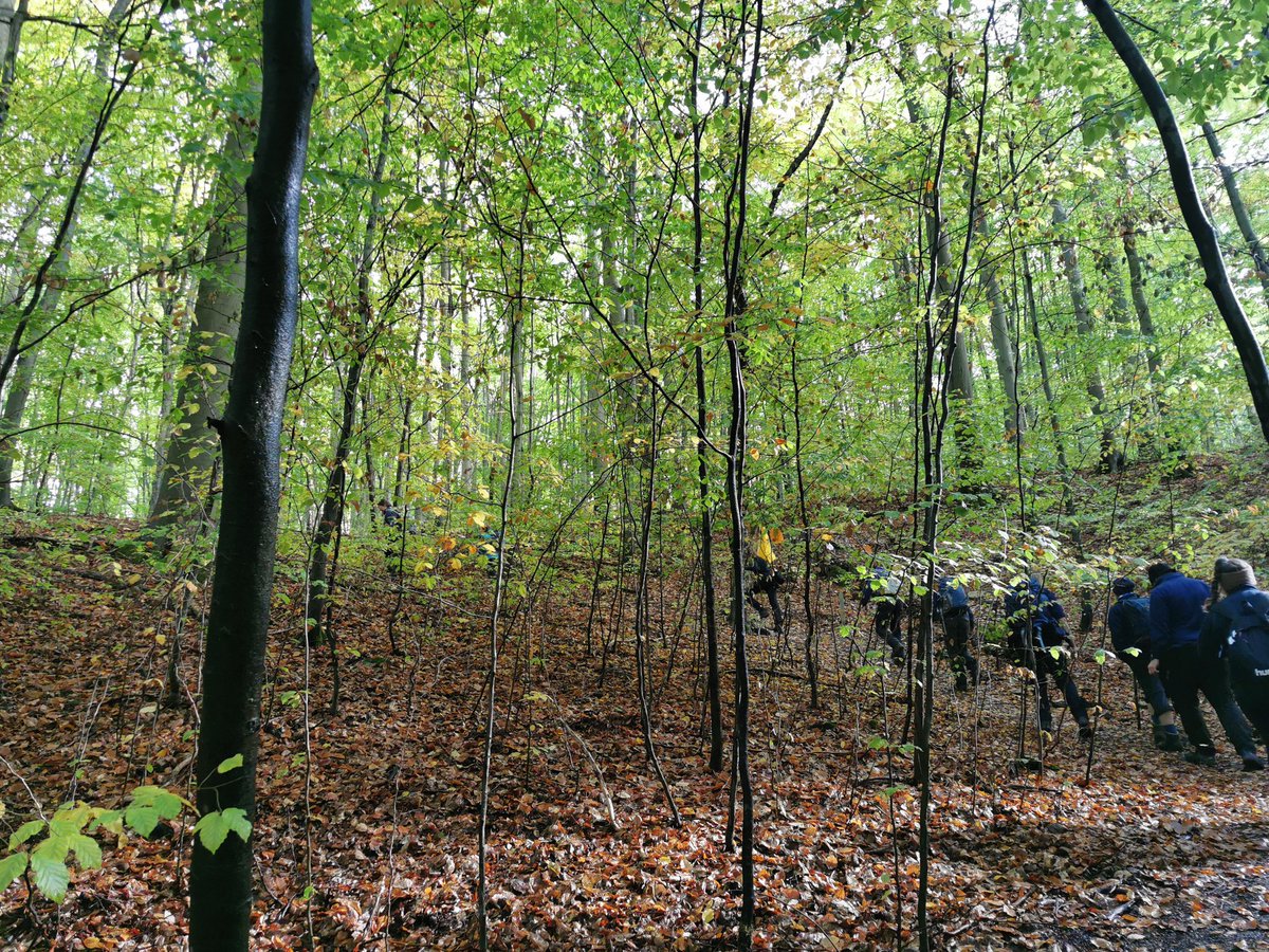 PbW_LVTh's tweet photo. In den Wald, über die Wiese, durch den Wald und im Wald. Eines unserer emotionalen Highlights des Jahres - Oktober im Hainich!
Prädikat: wertvoll ⚜️ https://t.co/0nWu57xF7O