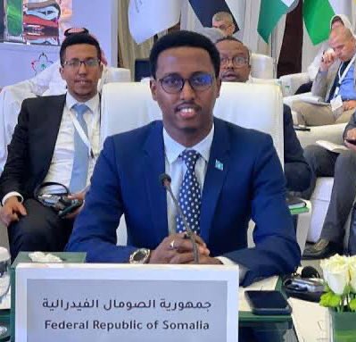 Somalison69's tweet photo. Bro what was @HassanAliKheyr1 smoking in early March 2017 when he appointed @hon_khadija as the minister of youth and sports? 

She ain’t youth and has little knowledge of sports. 

Thanks prime minister @HamzaAbdiBarre for appointing qualified person for that position. https://t.co/mqtvbiNJ4I