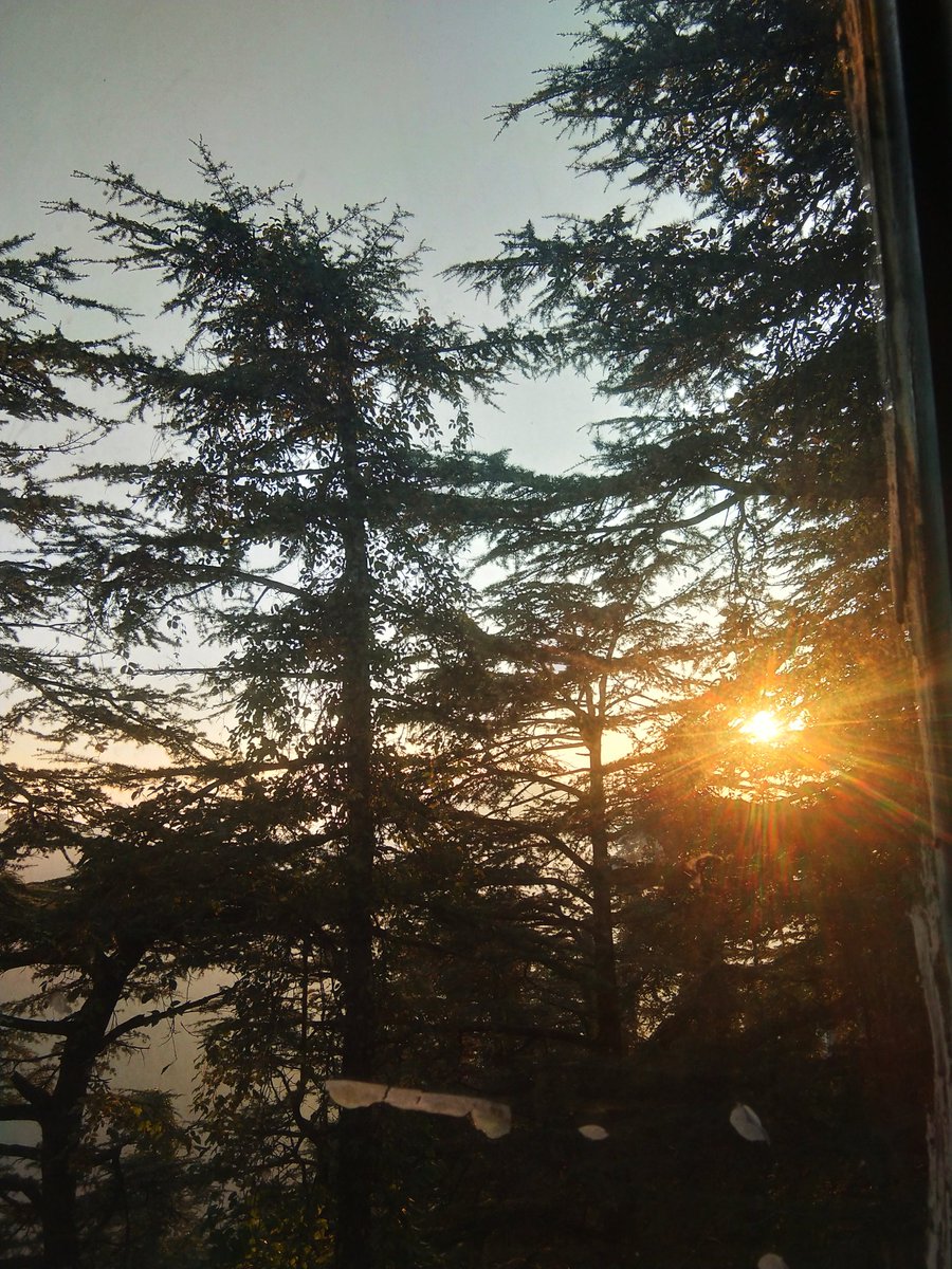 anusharmaa020's tweet photo. Same evenings again meanwhile i am back for my ph.d study after experimenting myself as a journalist for two years.
#hpu
#summerhill
#shimla https://t.co/nckv21JzGt