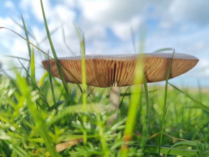 DeCerraduras's tweet photo. @weermanreinier #nazomeren in de #herfst 
Lekker in de wind gewandeld, maar een heerlijke temperatuur https://t.co/k8t3Caw6hm
