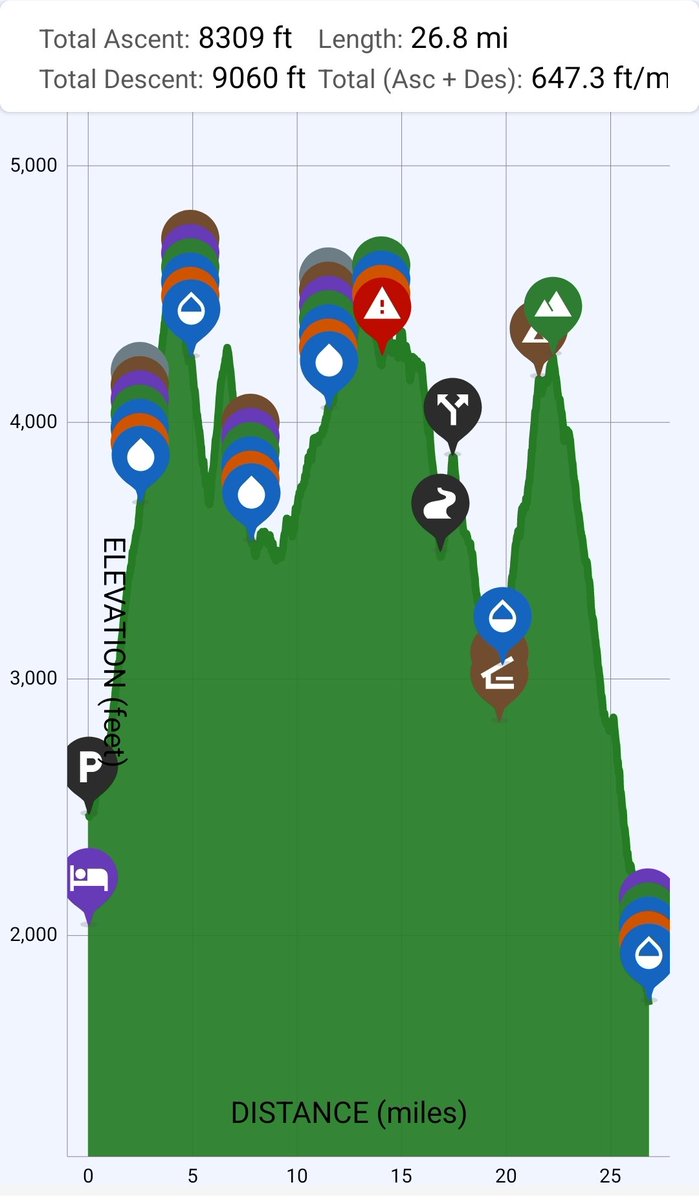 Peter Hodge tweet media