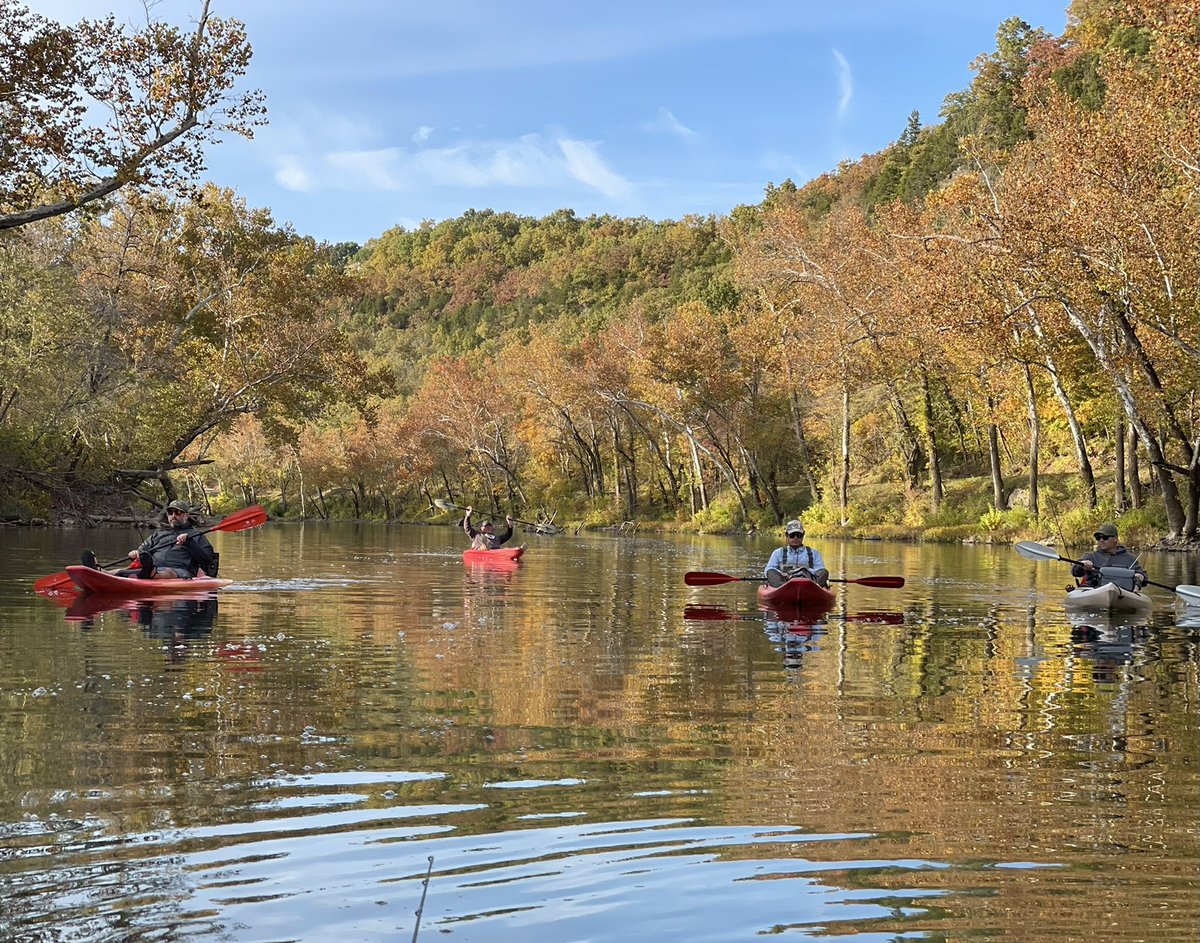 DEW_Neuropathy's tweet photo. Fantastic weekend fishing the Gasconade River in Missouri. Great group and great fishing! @barrettcasey #smallmouth #spottedbass #gasconade #kayak https://t.co/jGvKlwBLWp