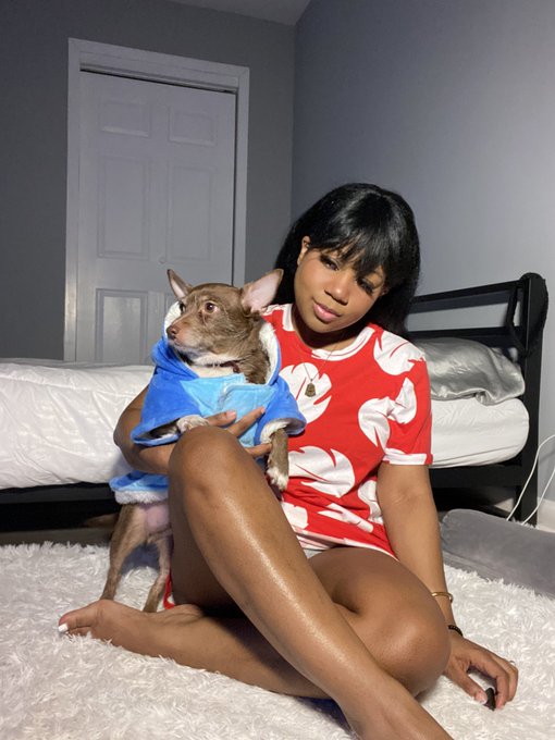 1 pic. Today is Alpo&rsquo;s birthday! 🐕🧑🏽&zwj;🍼 https://t.co/AUKmaCoqm6