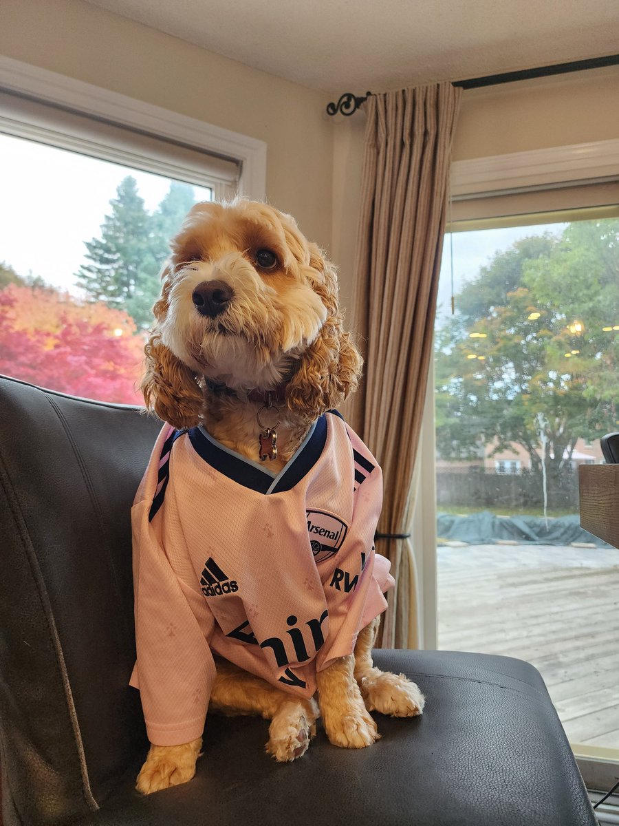 MBerton605's tweet image. 