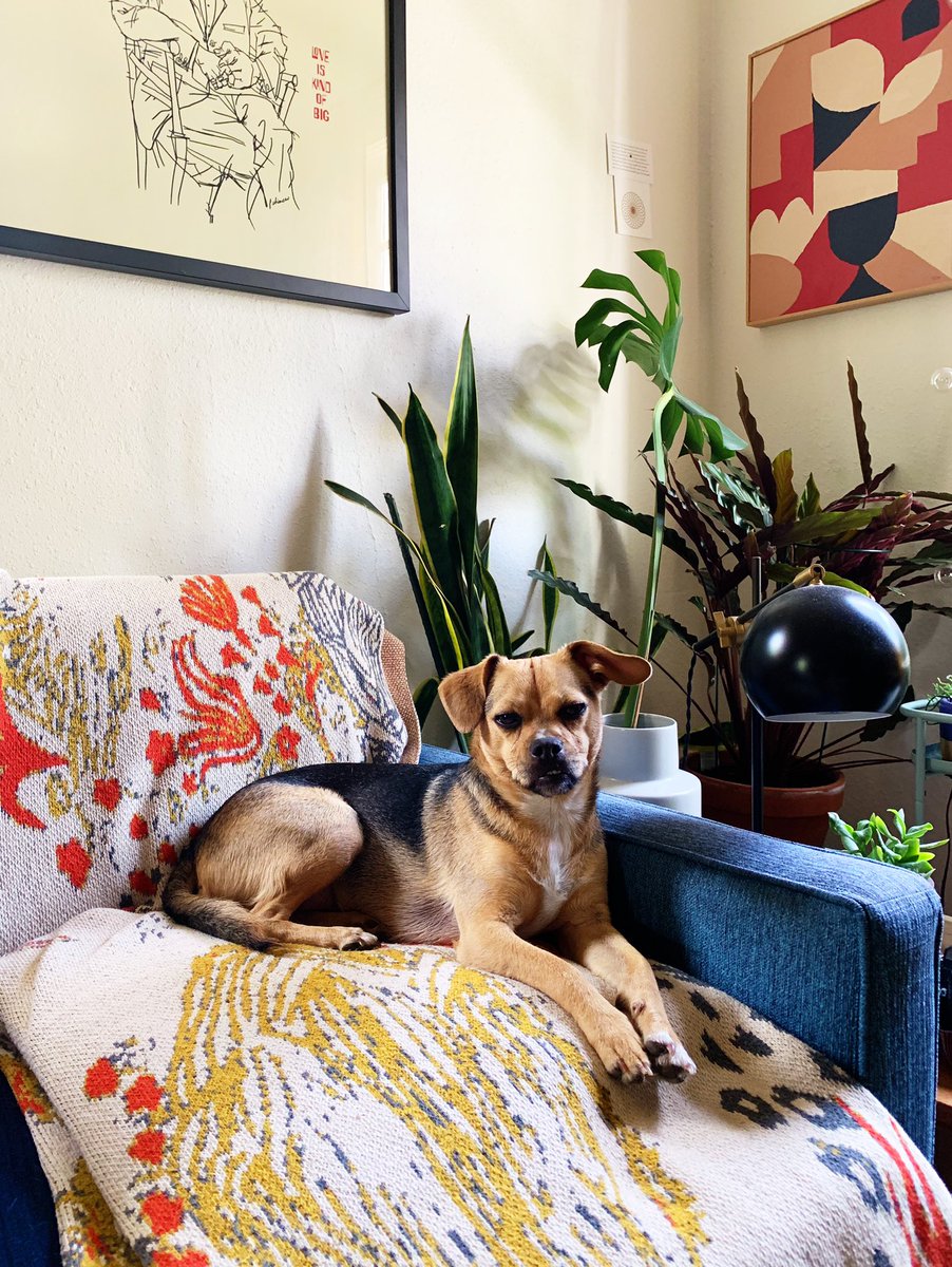 Ellen Wilde tweet media