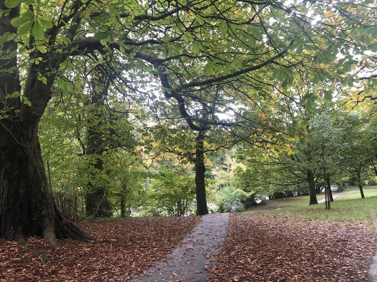 BrighamSpy's tweet photo. Autumn in Cockermouth. Look out for the Heron! https://t.co/kSkAnhCm6w