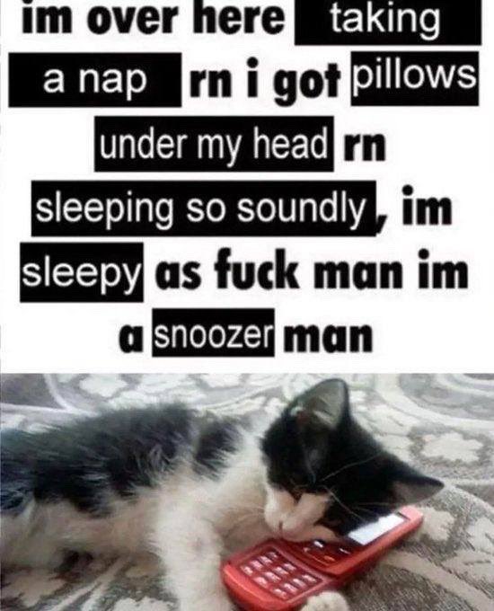 Xtremejetpack's tweet photo. @MoxxMootuber https://t.co/1HLtwnsJiA