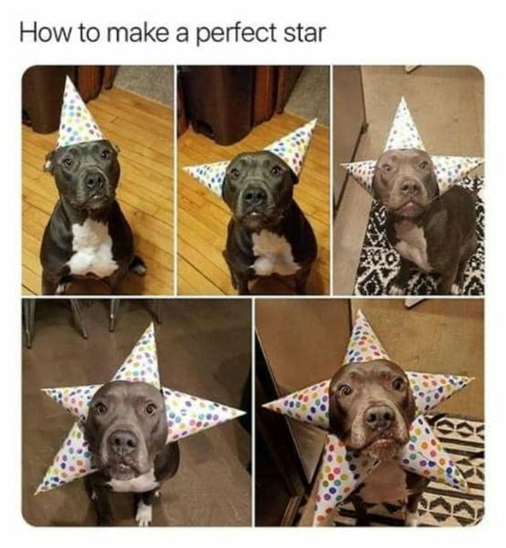 WholesomeMeme's tweet photo. https://t.co/TEsnzOGDFz