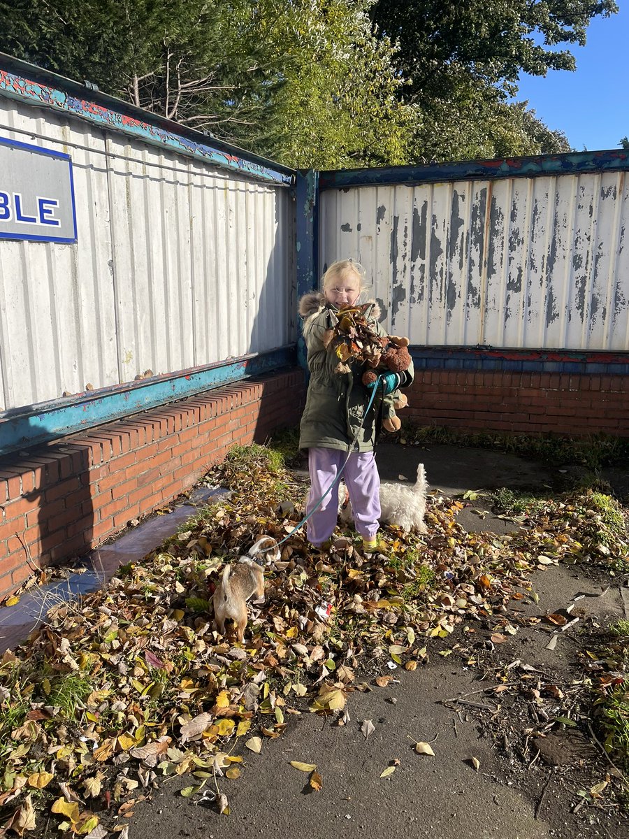 waddells74's tweet photo. Changing my oh No Don’t throw bin!… then felt the #Autumn leaves 🍁 on my face…. Yeah!… @KeepBritainTidy @Stevewal63 @des_farrand @CapnSasquatch @LittleJohn_MD @endelstamberg @chem_klein @Hyperion_PSN @MyGarden_Uk @IngramGlynis @Bramblings22 @Siobhan_CC70 @loraineswift1 https://t.co/mGh1cGCDtl