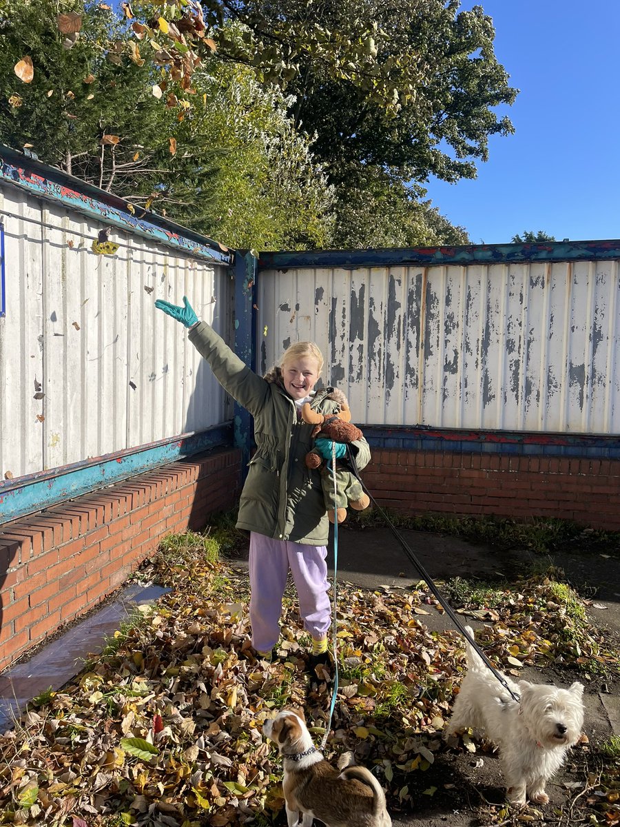 waddells74's tweet photo. Changing my oh No Don’t throw bin!… then felt the #Autumn leaves 🍁 on my face…. Yeah!… @KeepBritainTidy @Stevewal63 @des_farrand @CapnSasquatch @LittleJohn_MD @endelstamberg @chem_klein @Hyperion_PSN @MyGarden_Uk @IngramGlynis @Bramblings22 @Siobhan_CC70 @loraineswift1 https://t.co/mGh1cGCDtl