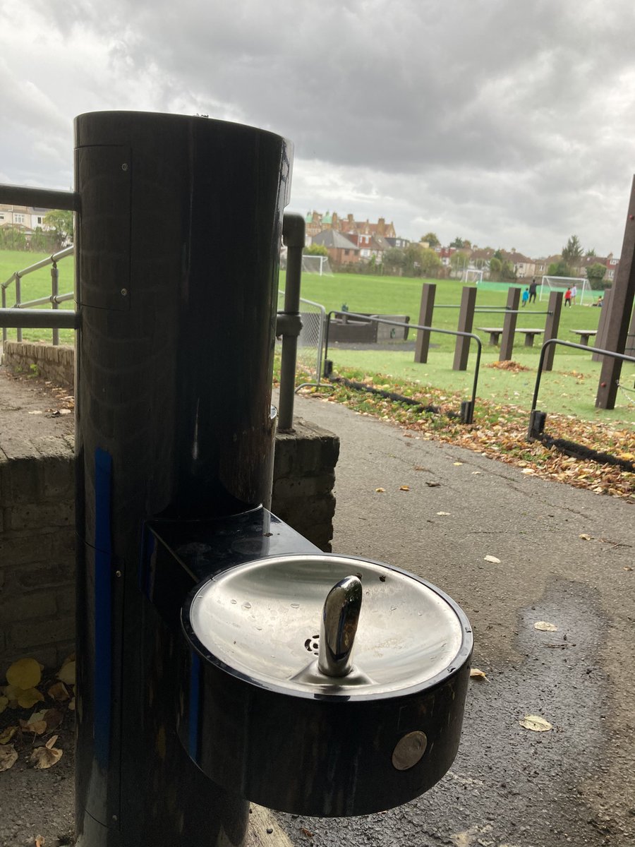 Forever Fishponds tweet media