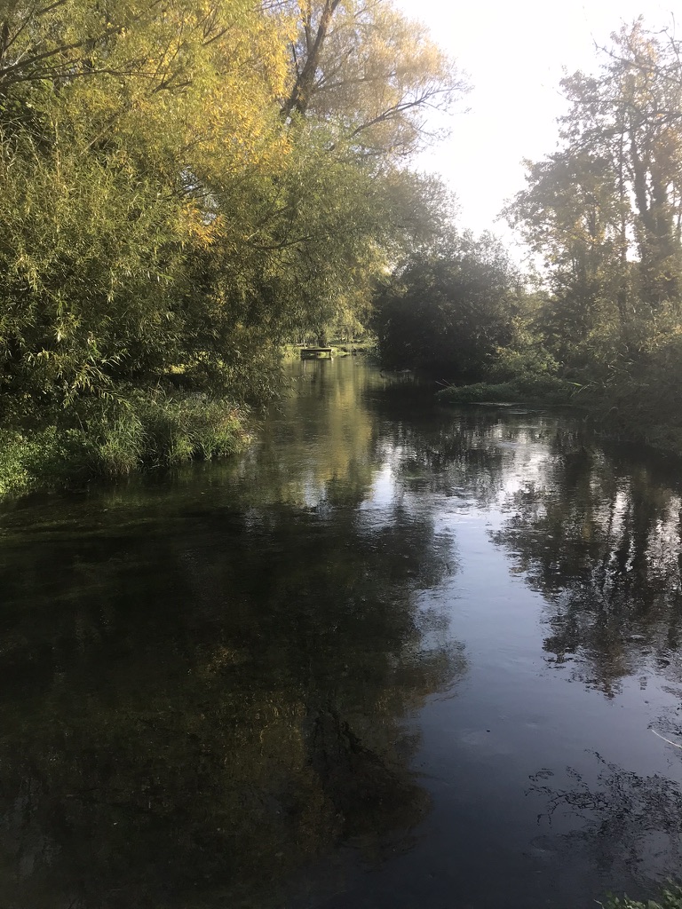 I wouldn't normally take my phone out running, but I wanted to take part in the autumn #waterwatch organised by <a href="/onplanetpatrol/">Planet Patrol</a>. I'm lucky that I get this view (and a clean river) on my doorstep, which was looking particularly beautiful this morning. 😍
