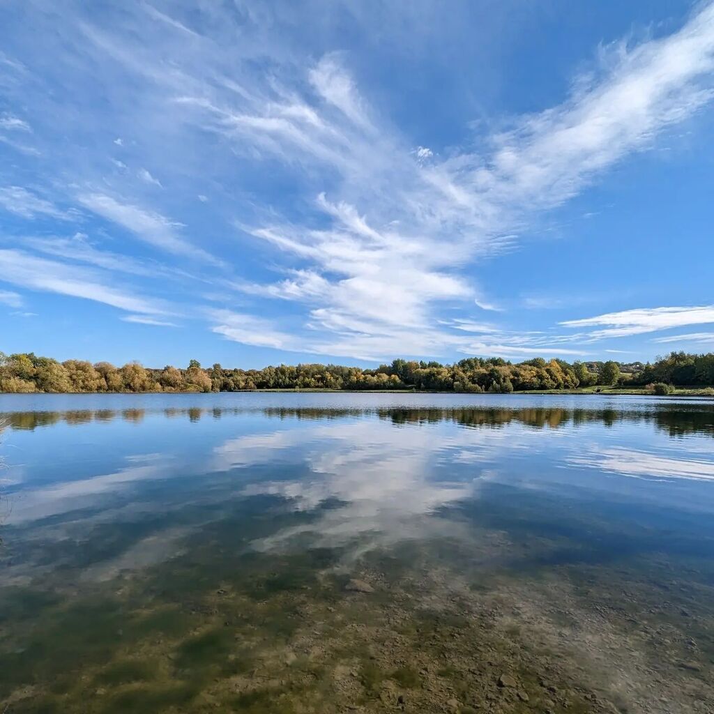 bobpullen's tweet image. Autumnal vibes ☀️🍂 #rothervalleycountrypark instagr.am/p/CjxyfedIroB/