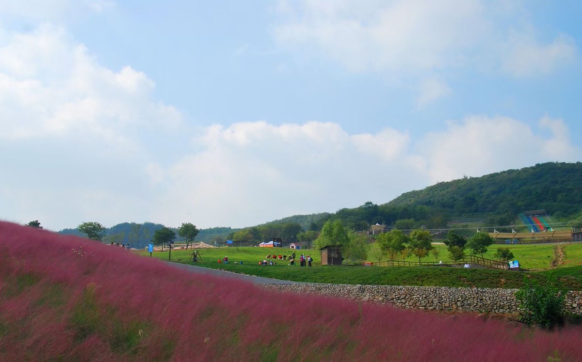 Explore Jiangsu tweet media