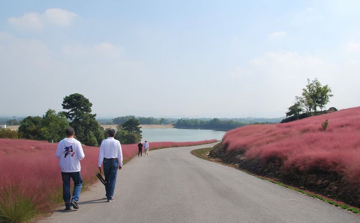 Explore Jiangsu tweet media