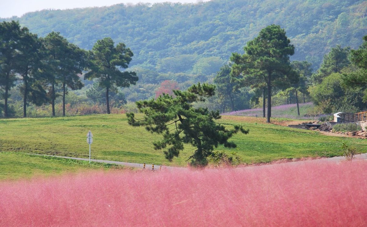 Explore Jiangsu tweet media