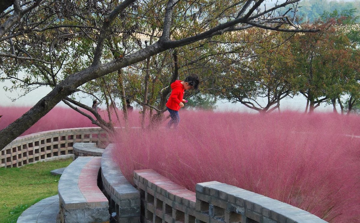 Explore Jiangsu tweet media