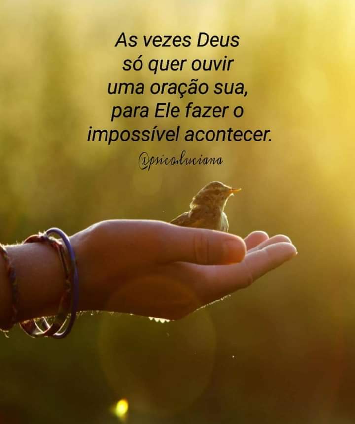VObservadora tweet picture