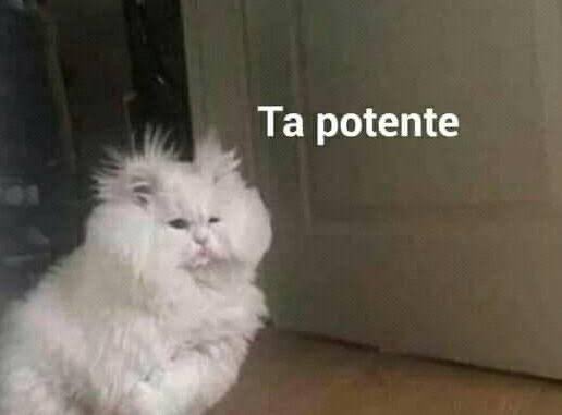 anaaceja's tweet photo. Cuando me entero de un chisme mío y que ni yo sabía https://t.co/UCxggiysCc
