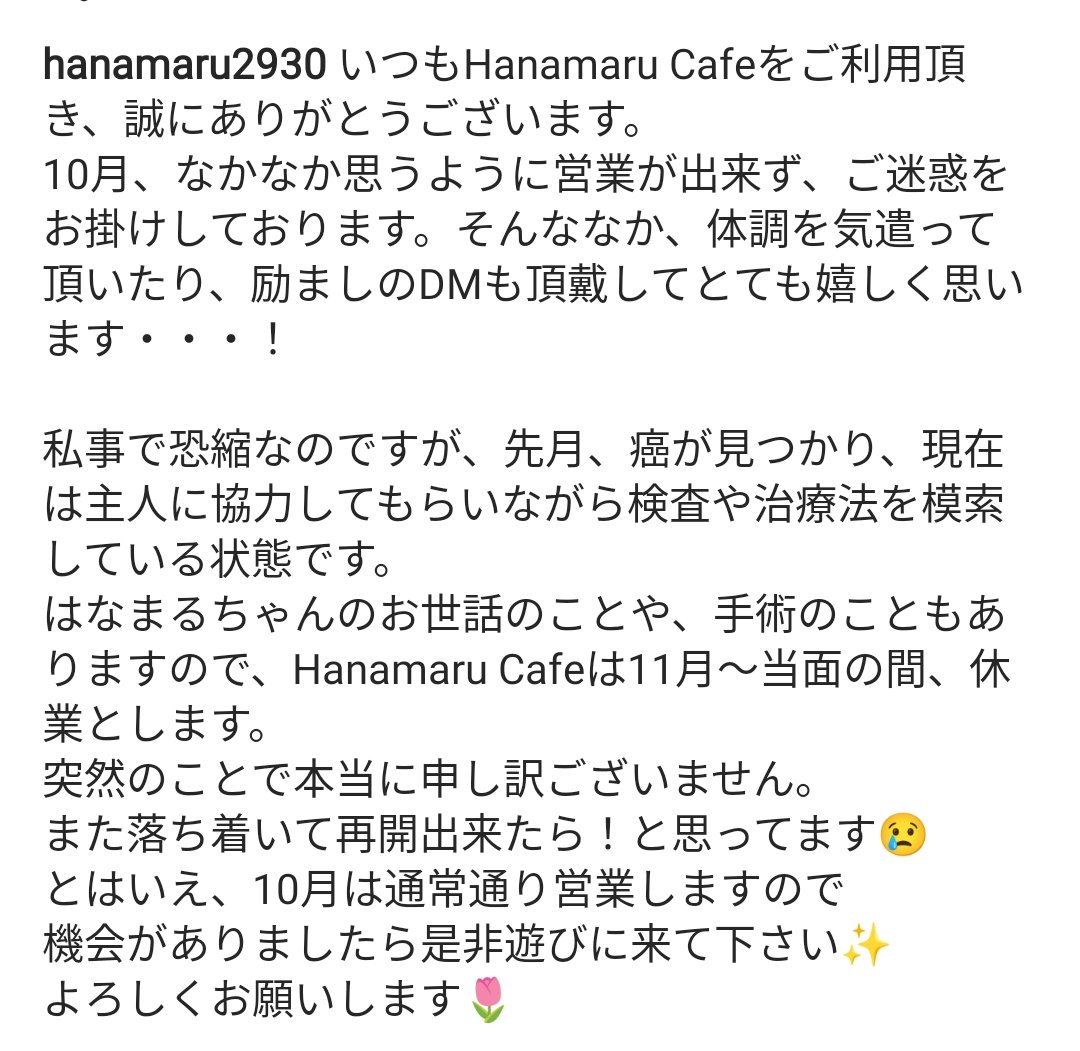 Hanamaru Café（はなまるカフェ）｜ドッグカフェ (@HanamaruCaf1) / Posts / X